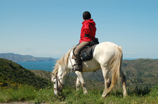 Spain-Catalonia-Mediterranean Spa & Wine Coast Trail
